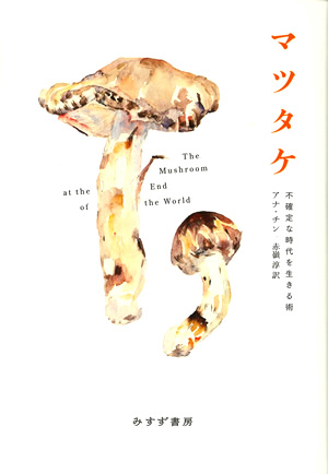 マツタケ カバー マツタケ カバー